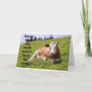 Search for veterinary graduate congratulations cards Degree