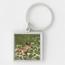 Search for white tail key rings Deer