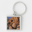 Search for joshua tree key rings Scenic