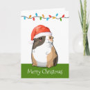 Search for guinea pig cards Santa