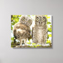 Search for owl pics canvas prints Bird watching