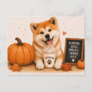 Search for akitas postcards Akita dog