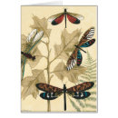 Search for dragonfly drawing postcards Nature