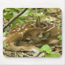 Search for virginia mouse mats Forest