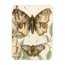 Search for butterfly magnets Animals