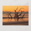 Search for drifting postcards Ocean