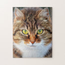 Search for cat face puzzles Feline