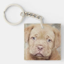 Search for nature key rings Mammal