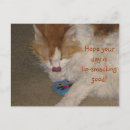 Search for just to say hi postcards Funny