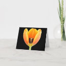 Search for inside out cards Black