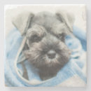 Search for selected barware Puppy