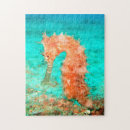 Search for seahorse puzzles Tropical