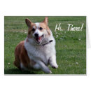 Search for corgis photography Animals
