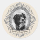 Search for grey frame stickers Modern