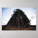 Search for sul posters Tree