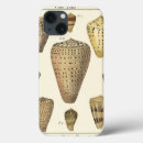 Search for crackle cases Sepia seashell
