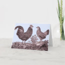 Search for chicken valentines day cards Rooster
