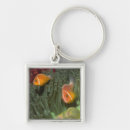 Search for anemone key rings Animal