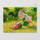 Search for destroy postcards Humour