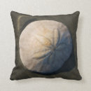 Search for sand dollar cushions Ocean