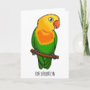 Search for conure cards Parakeet