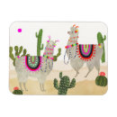 Search for cactus magnets Otomi