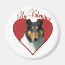 Search for smooth magnets Collie