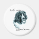 Search for newfoundland magnets Dog