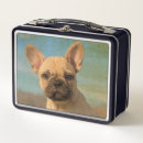 Search for bulldog lunch boxes Cute