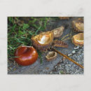 Search for conkers Brown