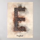 Search for alphabet e posters Elephant