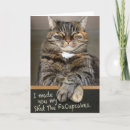 Search for cat and cupcake birthday cards Funny
