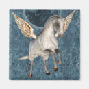 Search for pegasus magnets White
