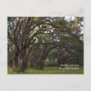 Search for twisted postcards Trees