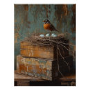Search for antique bird nest posters Robin