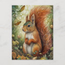 Search for red squirrel postcards Floral