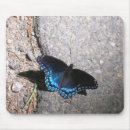 Search for admiration electronics Blue