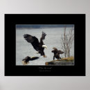 Search for landed posters Bald eagle