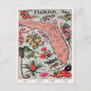 Search for everglade state postcards Travel