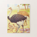 Search for ostrich puzzles Bird