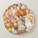 Search for seashell cushions Sea shells