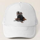Search for secrets hats Wizarding wold