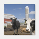 Search for silos magnets Usa