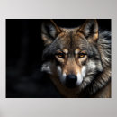 Search for wolf portrait posters Forest