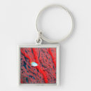 Search for wild fish key rings Swimming