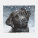 Search for black labrador blankets Snow