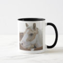 Search for horse pictures mugs Wildlife