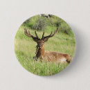 Search for deer hunting badges Stag