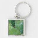 Search for tucson key rings Flora