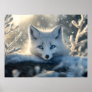 Search for arctic fox posters White